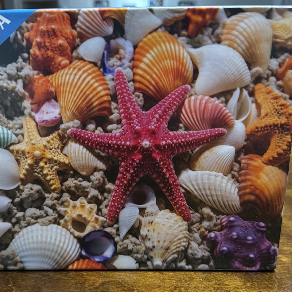 Starfish Walking Puzzle - 1000 Pieces